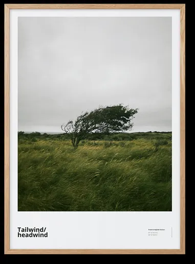 Peléton Tailwind / Headwind 50x70 Affisch